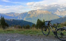 Appartement Pied Des Pistes - Samoens 1600